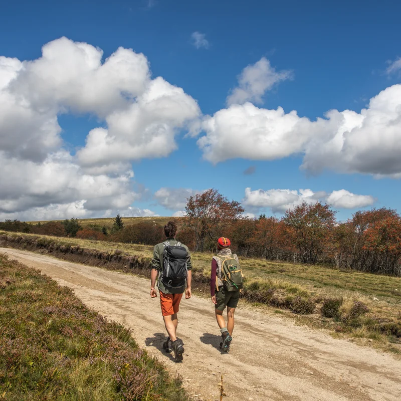 Randonnée GR®3 Les Monts du Forez — Chabreloche