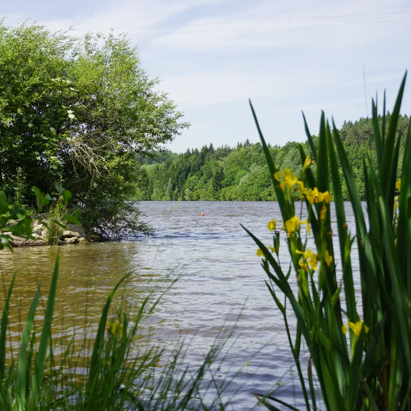 Randonnée Lac et sous-bois — Aubusson-d'Auvergne