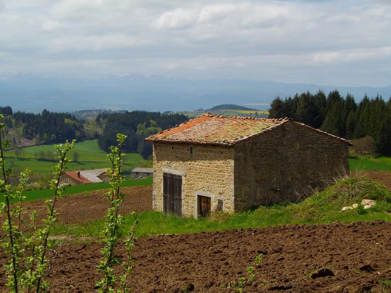 Randonnée La chapelle des Fialins — Le Vernet-Chaméane