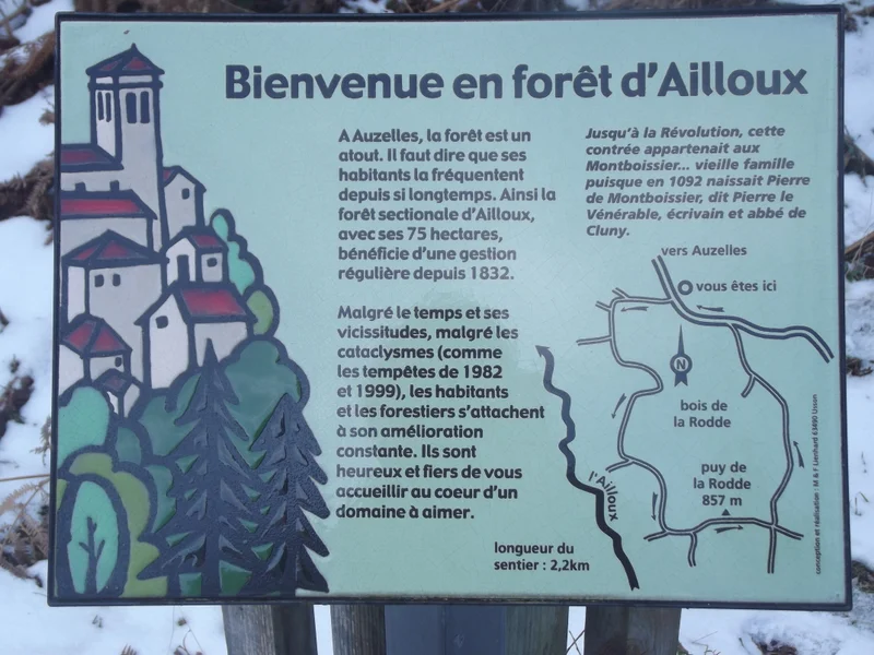 Randonnée La forêt d'Ailloux — Auzelles