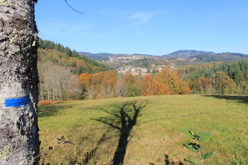 Randonnée La Grande Roulière — La Monnerie-le-Montel