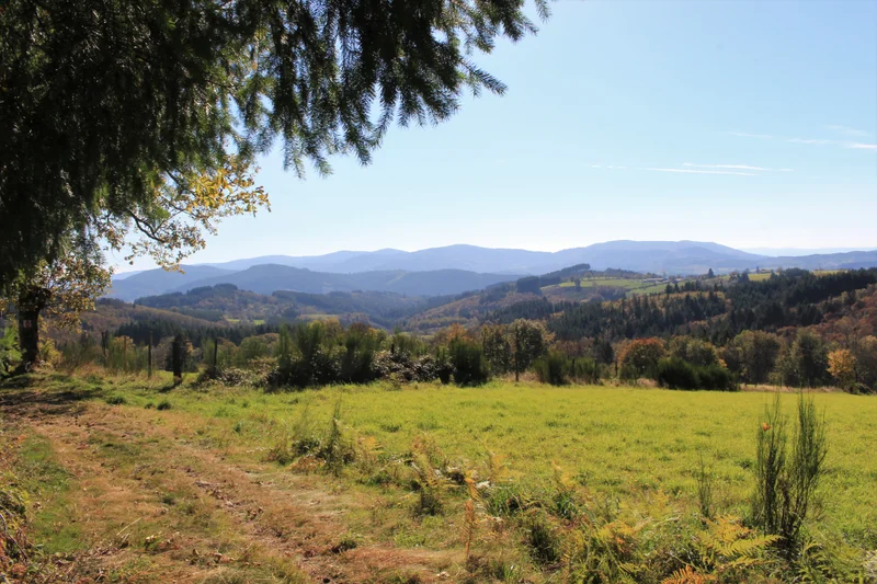 Randonnée La Jalonne — Celles-sur-Durolle