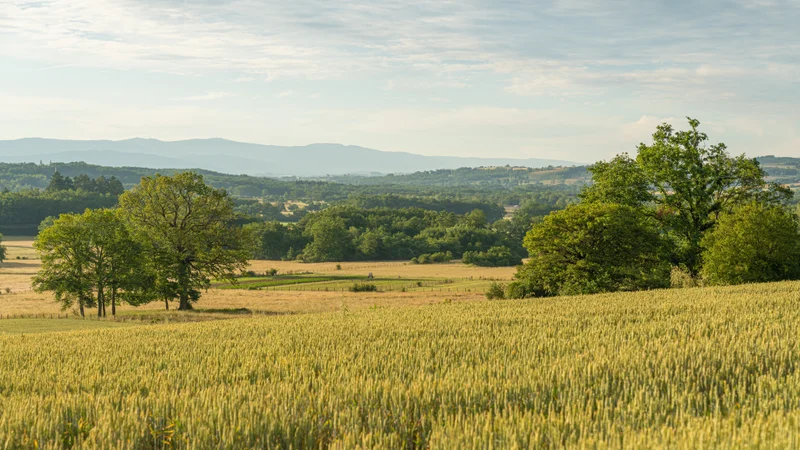 Randonnée Le bois de la Faye — Bort-l'Étang