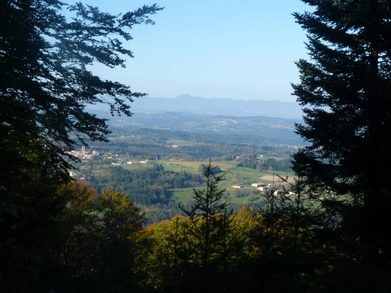 Randonnée Le château de la Faye — Olmet