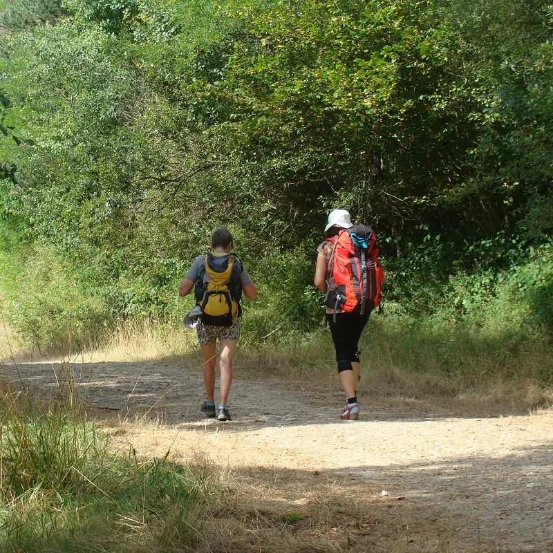 Randonnée Le chemin de Sainte-Agathe — Thiers