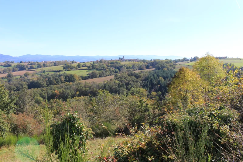 Randonnée Le chemin du Lilion — Sermentizon