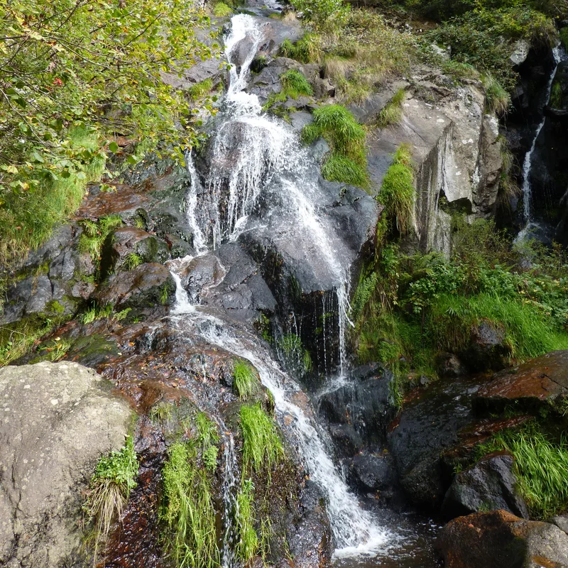 Randonnée Le Creux-de-l'Oulette — Saillant
