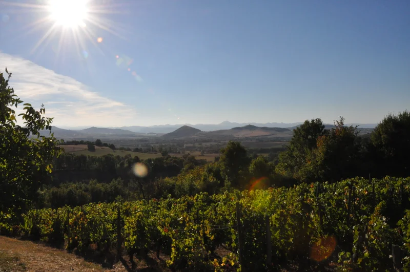 Randonnée Le Mas, un village vigneron — Égliseneuve-près-Billom