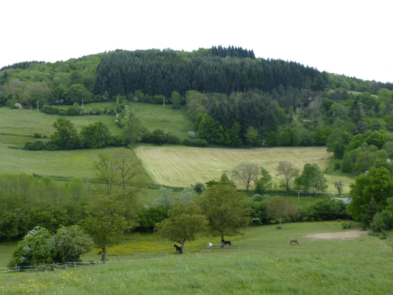 Randonnée Le puy de Courdeloup — Isserteaux