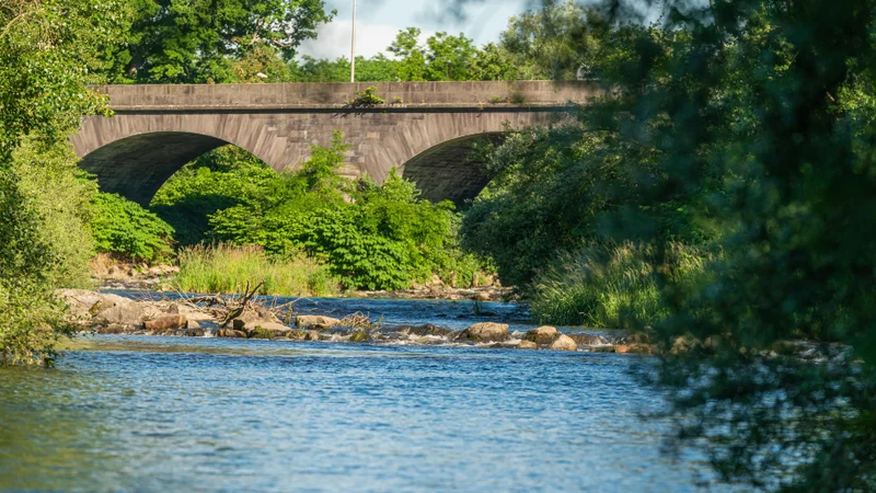 Randonnée Les berges de la Dore — Peschadoires