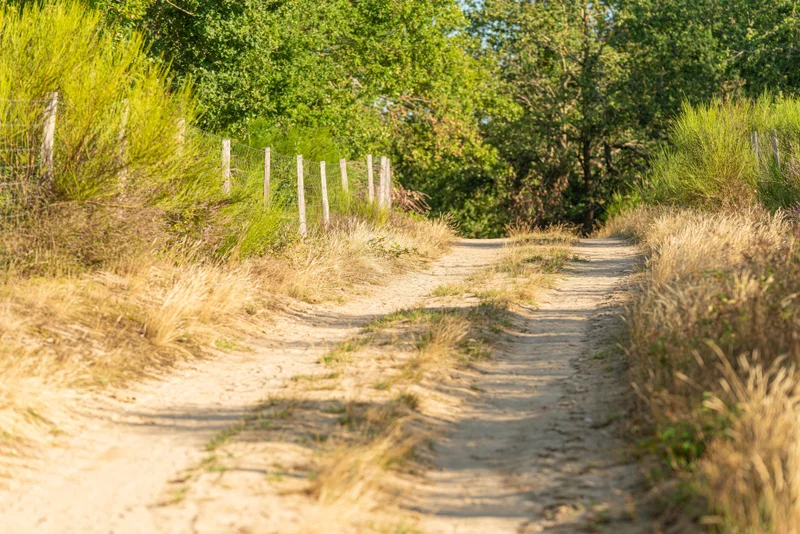 Randonnée Les dunes des Girauds-Faures — Orléat