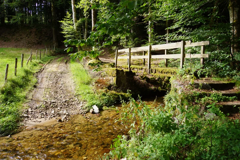 Randonnée Le sentier de l'Henriette — Auzelles