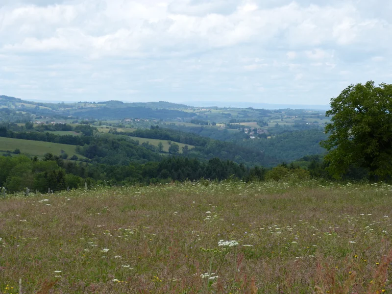 Randonnée Les gorges de la Dore — Tours-sur-Meymont