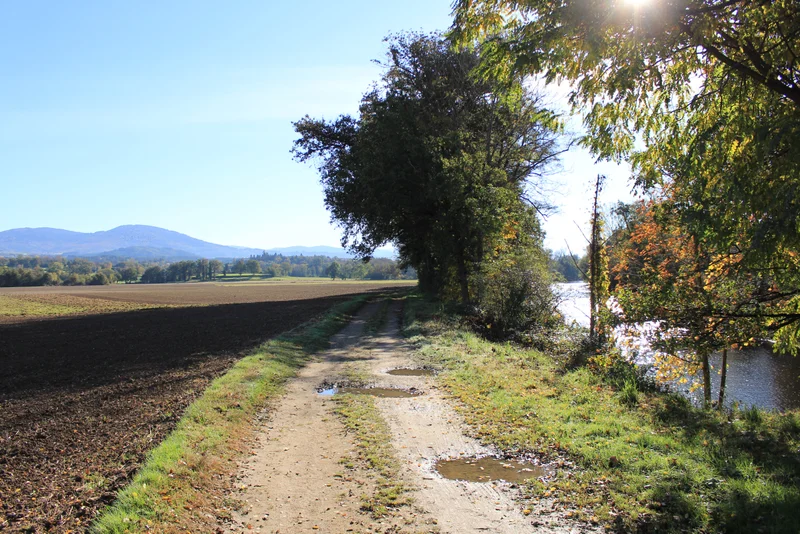 Randonnée Les terrasses de la Dore (Sainte-Marguerite) — Escoutoux