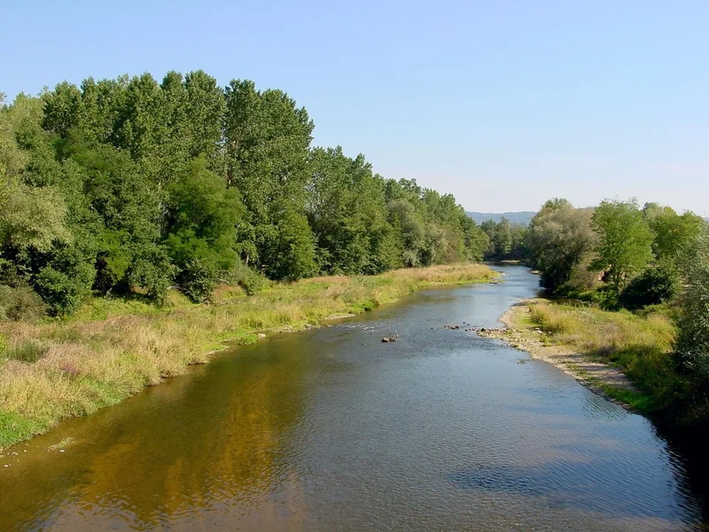 Randonnée L'étang des Grands Graviers — Puy-Guillaume