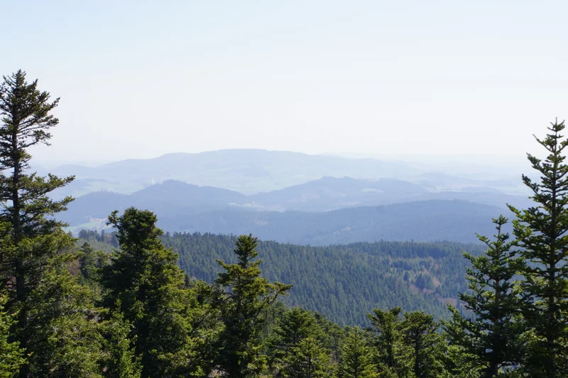 Randonnée Montlune — Arconsat