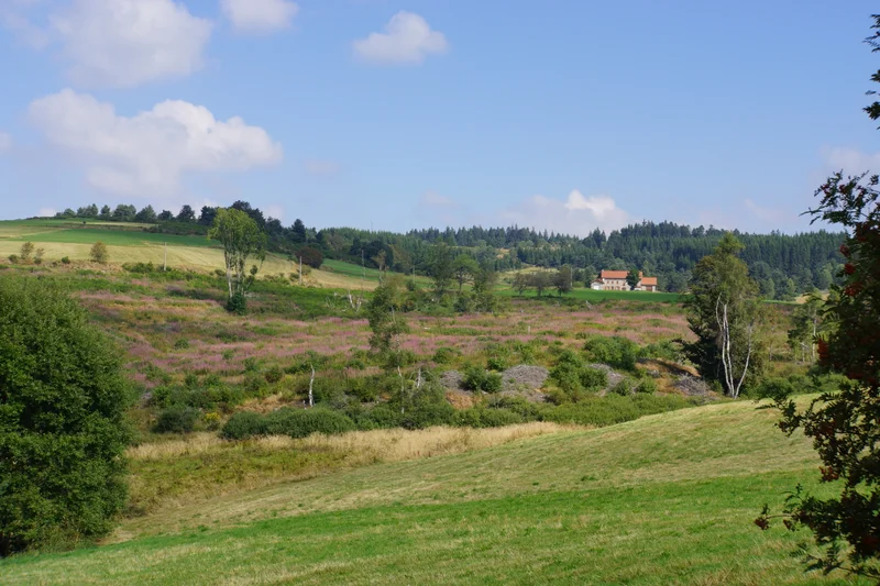 Randonnée Sur la piste du Chevreuil — Églisolles