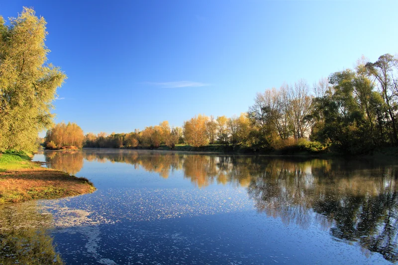 Randonnée Sur les bords de l'Allier — Joze