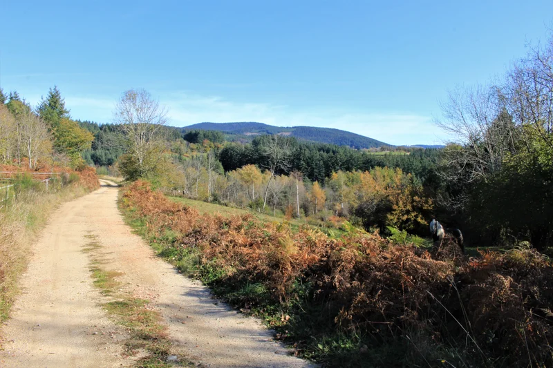 Randonnée Tour du Puy de la Tête — Chabreloche