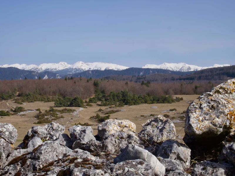 Randonnée Circuit du Château — Vassieux-en-Vercors