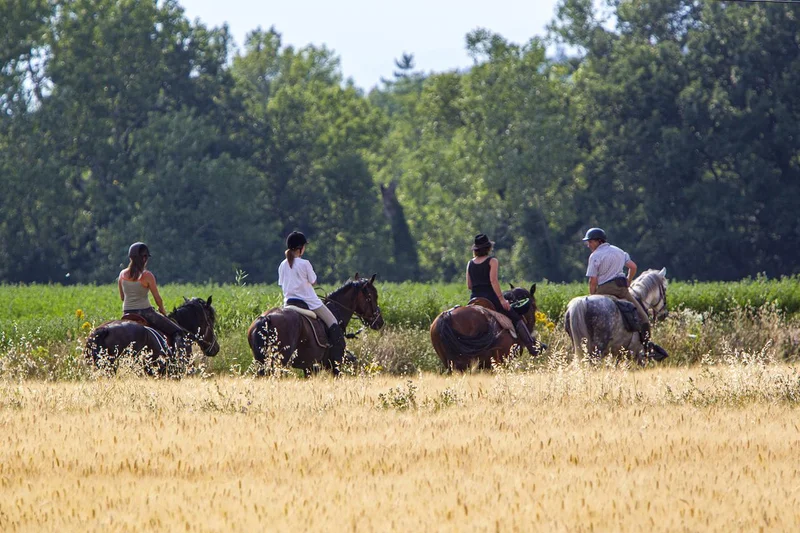Randonnée Du village jusqu'au Pas du Buis · Combovin