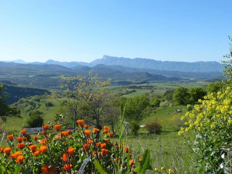 Randonnée La montagne de Lozeron · Gigors-et-Lozeron