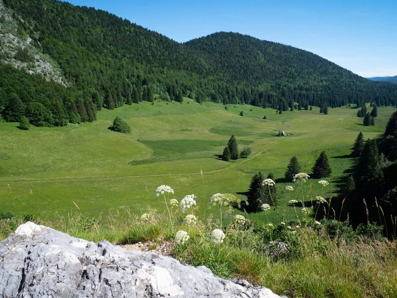 Randonnée La Plaine d'Herbouilly (0) · Saint-Martin-en-Vercors