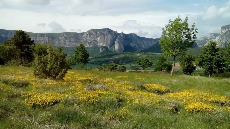 Randonnée Le Grand Quinson · Francillon-sur-Roubion