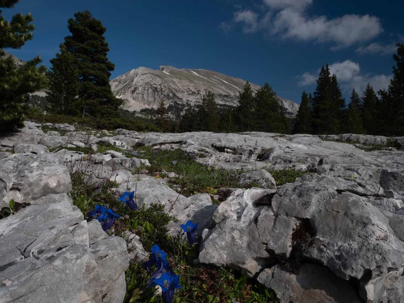 Randonnée Le Grand Veymont depuis le plateau de Beure — Saint-Agnan-en-Vercors