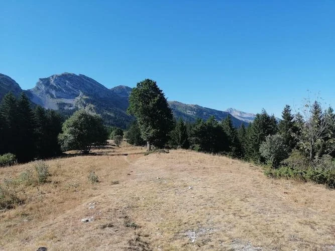 Randonnée Les Allières, sentier du canyon — Lans-en-Vercors
