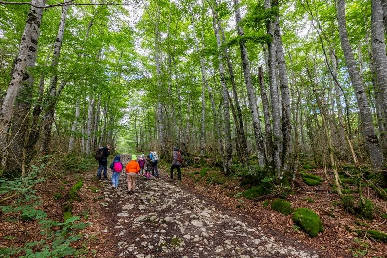 Randonnée Les Ayards — Saint-Martin-en-Vercors