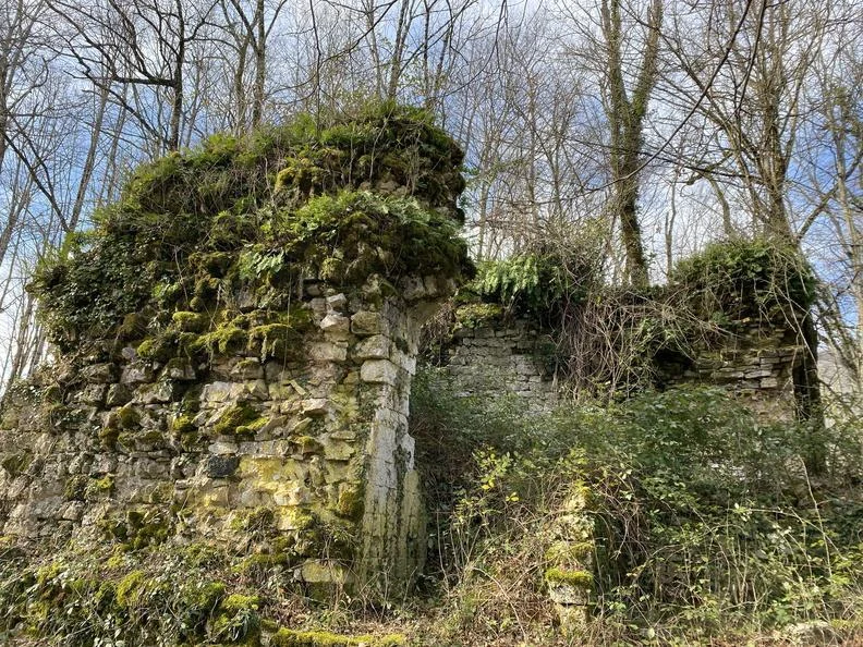 Randonnée Les Ruines du Château de Flandaines · Saint-Martin-le-Colonel