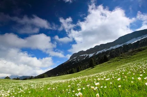 Randonnée Le vallon de Combeau · Treschenu-Creyers