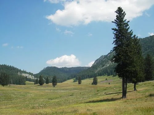 Randonnée Porte d'Herbouilly — Saint-Martin-en-Vercors