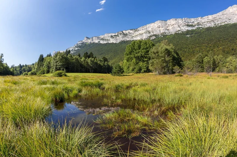 Randonnée Immersion nature ENS Vercors Isèrois (0) — Claix