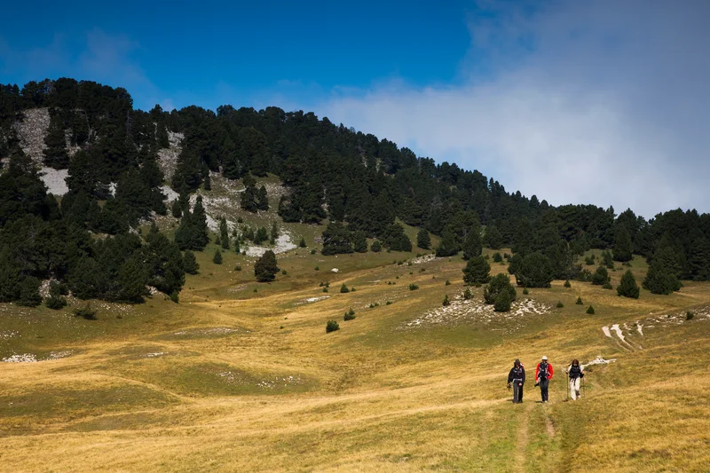 Randonnée Traversée des Hauts-Plateaux du Vercors à pied via le GR®91 (itinéraire des Grandes Traversées du Vercors) — Corrençon-en-Vercors