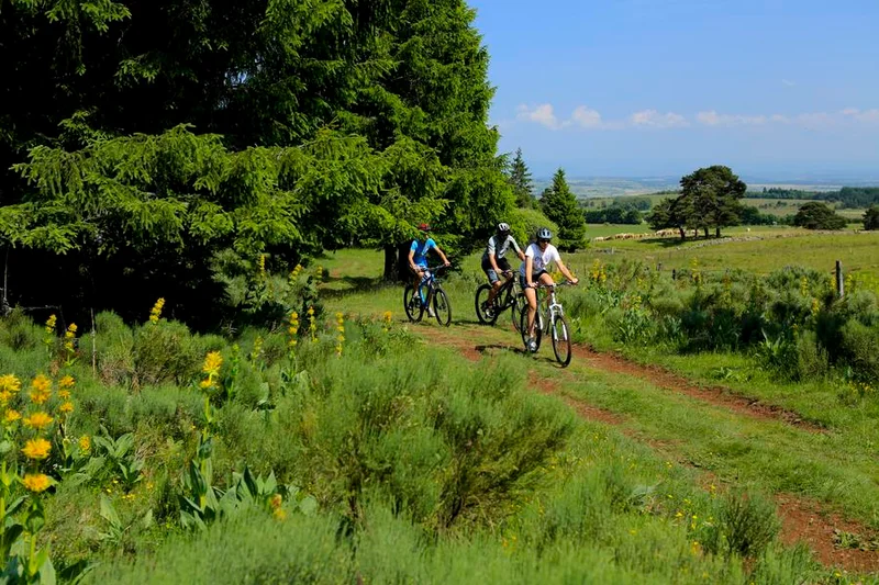 VTT Circuit VTT n°30 : Le Chemin de la Narse de Nouvialle — Valuéjols