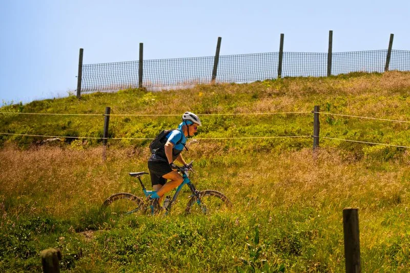 VTT N°60 - Les trois sites - Espace VTT-FFC Massif des Bois Noirs — Chalmazel-Jeansagnière