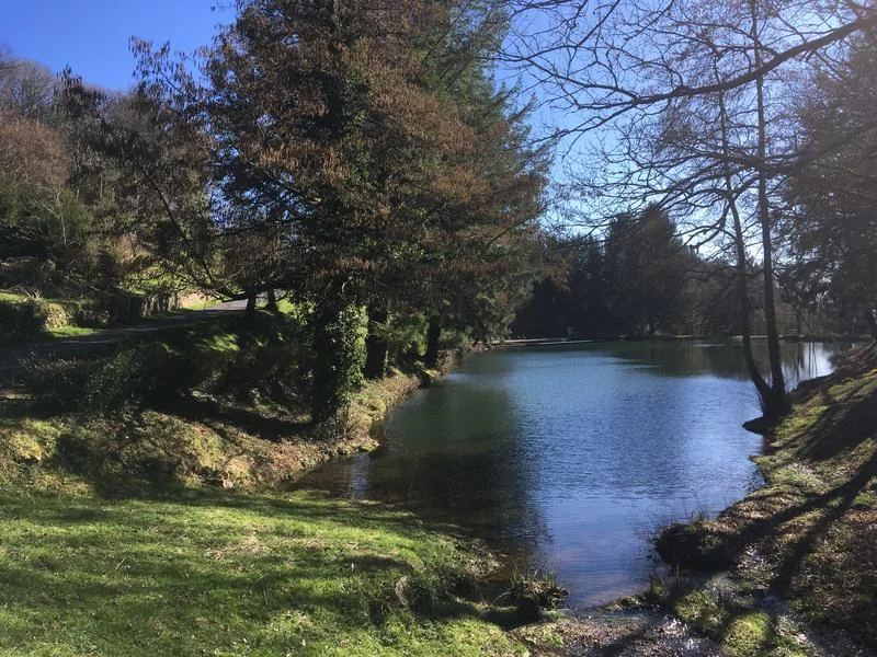 VTT Circuit VTT - Au cœur des châtaigniers — Puycapel