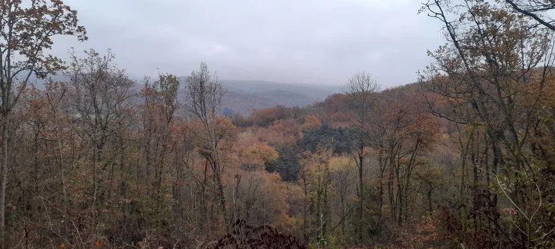 VTT Circuit VTT n°7 - Sur la route des mines — Brassac-les-Mines
