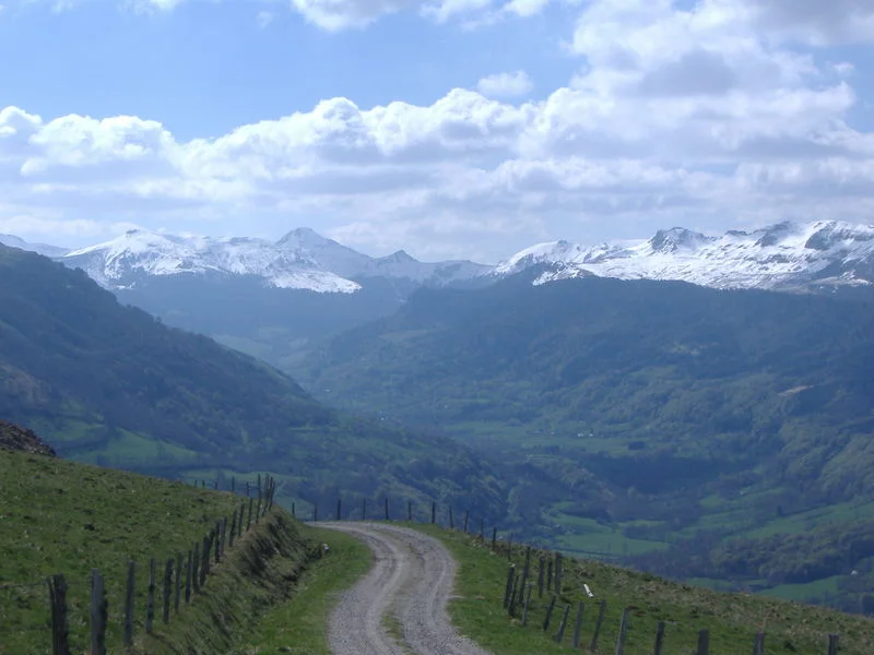 VTT La Planèze - VTT — Trizac