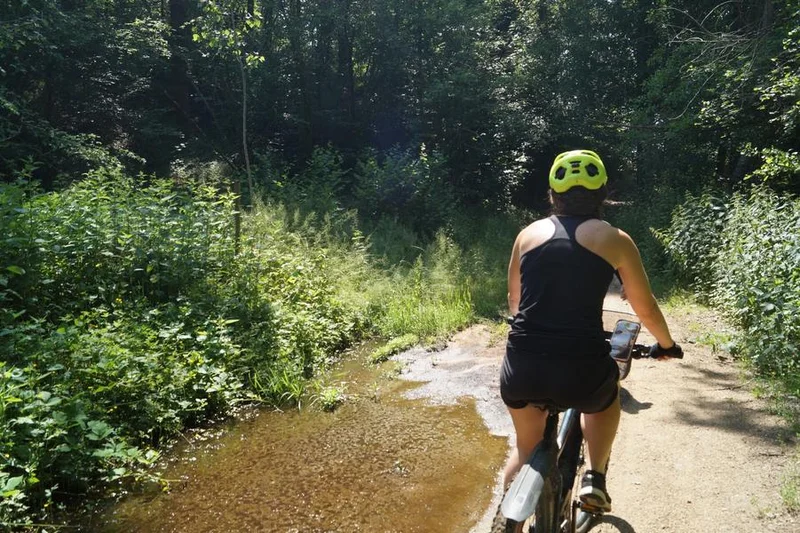 VTT N°17 Les rives de la Charpasonne — Panissières