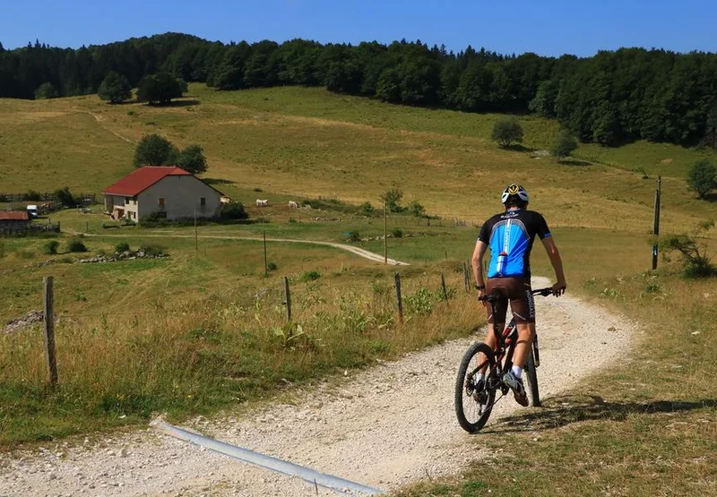 VTT Parcours VTT 12 vert - Les balcons des Plans - Espace FFC Ain Forestière — Haut Valromey