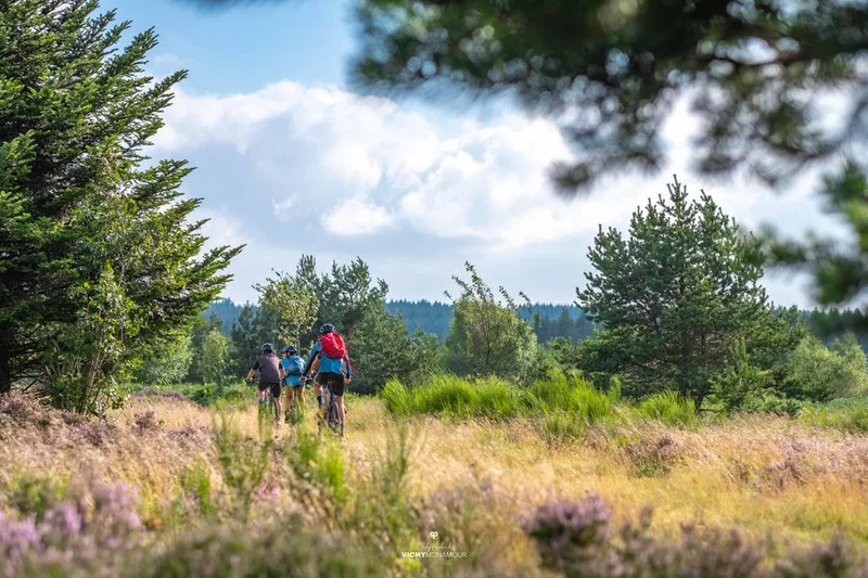 VTT N°87 – Le Pilard - Espace VTT-FFC Vichy Montagne — La Guillermie