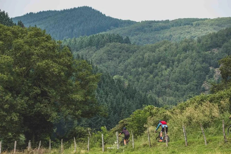 VTT N°96 – Dans les pas des Charguerauds - Espace VTT-FFC Vichy Montagne — Châtel-Montagne