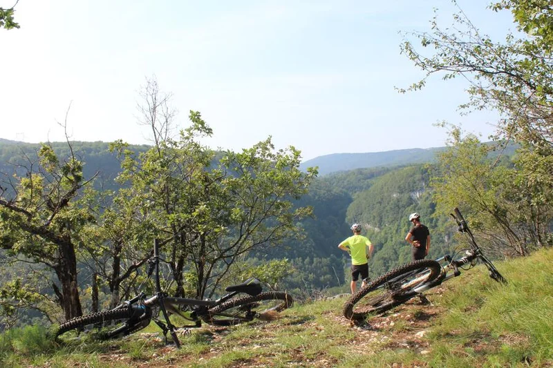 VTT Parcours VTT 52 bleu - Les Crêtes de Charabotte - Espace FFC Ain Forestière — Plateau d'Hauteville