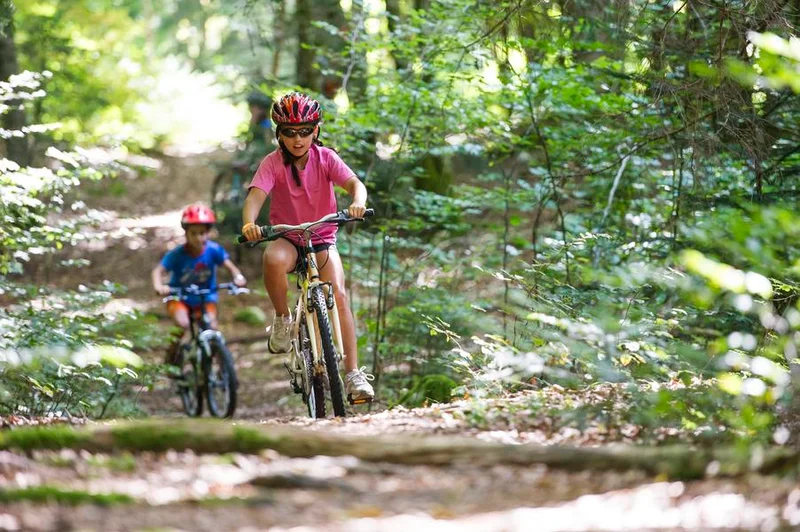 VTT Parcours VTT 61 vert - La Familiale - Espace FFC Ain Forestière — Le Poizat-Lalleyriat