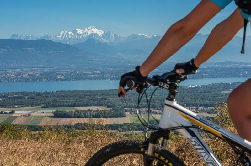 VTT Parcours VTT 80 - vert - les Devins - Espace FFC Ain Forestière — Divonne-les-Bains