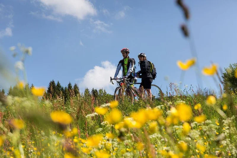 VTT Parcours VTT 81 - bleu - les Druides - Espace FFC Ain Forestière — Gex