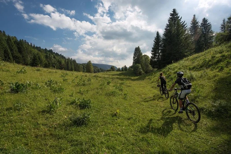 VTT Parcours VTT 82 - bleu - Les Rochassons - Espace FFC Ain Forestière — Divonne-les-Bains